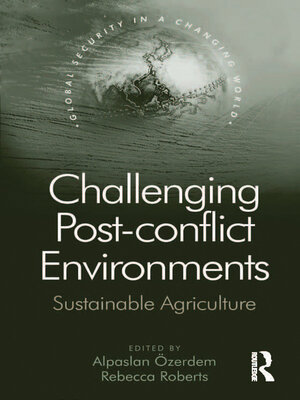 cover image of Challenging Post-conflict Environments